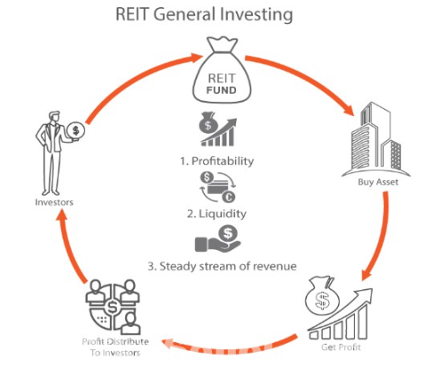 Real estate investment procedure